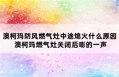 澳柯玛防风燃气灶中途熄火什么原因 澳柯玛燃气灶关闭后嘭的一声